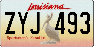LA license plate ZYJ493