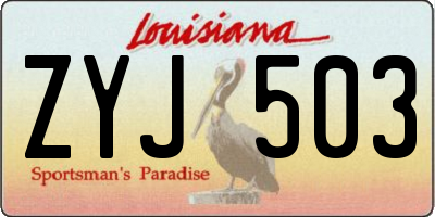 LA license plate ZYJ503