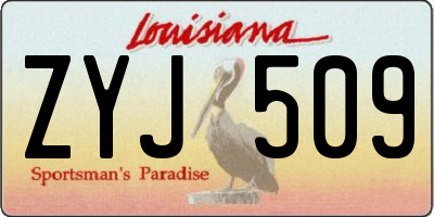 LA license plate ZYJ509