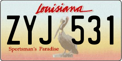 LA license plate ZYJ531