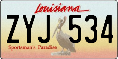 LA license plate ZYJ534