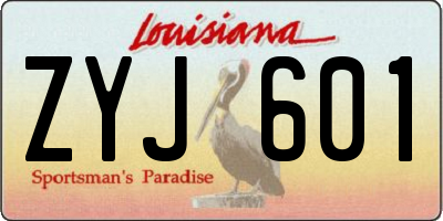 LA license plate ZYJ601