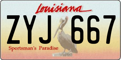 LA license plate ZYJ667