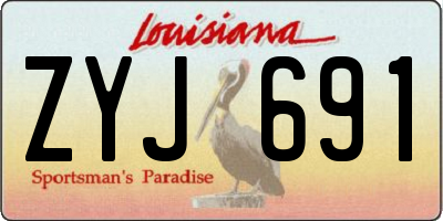 LA license plate ZYJ691