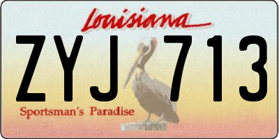LA license plate ZYJ713