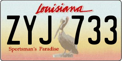 LA license plate ZYJ733