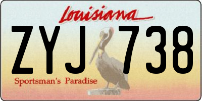 LA license plate ZYJ738