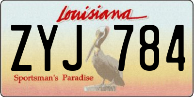 LA license plate ZYJ784
