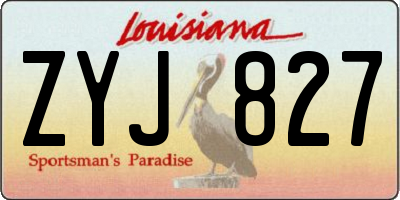 LA license plate ZYJ827