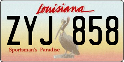 LA license plate ZYJ858