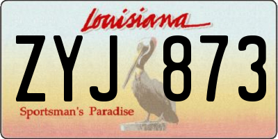 LA license plate ZYJ873