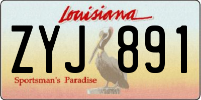 LA license plate ZYJ891