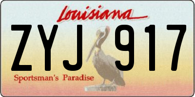 LA license plate ZYJ917