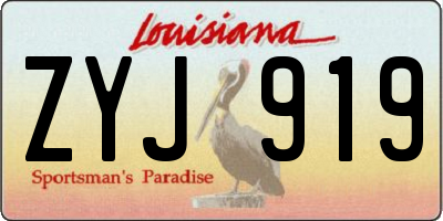 LA license plate ZYJ919