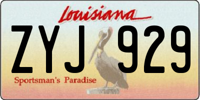 LA license plate ZYJ929