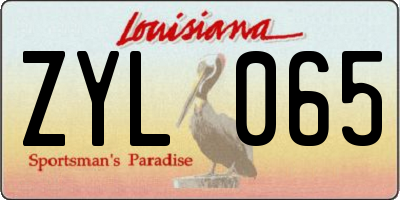 LA license plate ZYL065