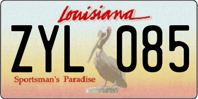 LA license plate ZYL085