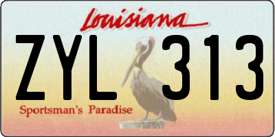 LA license plate ZYL313