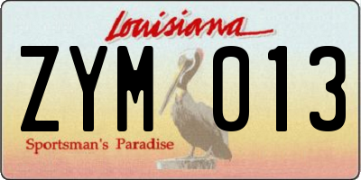 LA license plate ZYM013