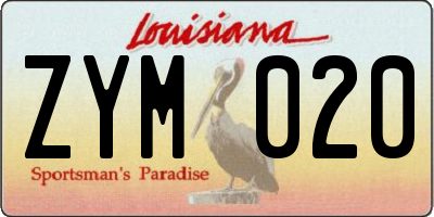 LA license plate ZYM020