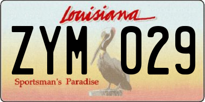 LA license plate ZYM029