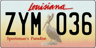 LA license plate ZYM036