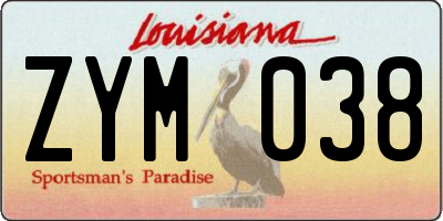 LA license plate ZYM038