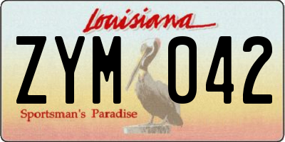 LA license plate ZYM042