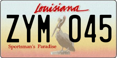 LA license plate ZYM045