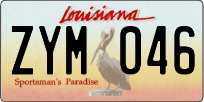 LA license plate ZYM046