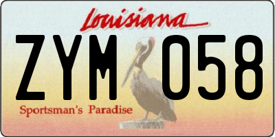 LA license plate ZYM058