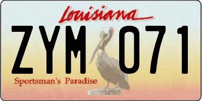 LA license plate ZYM071