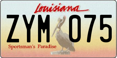 LA license plate ZYM075