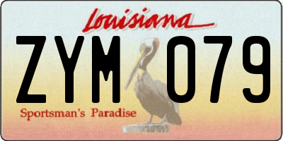 LA license plate ZYM079