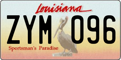 LA license plate ZYM096