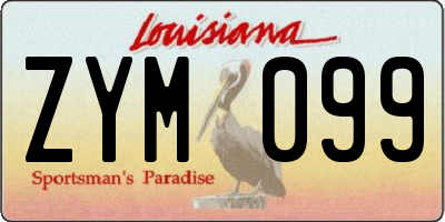 LA license plate ZYM099