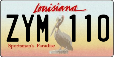 LA license plate ZYM110