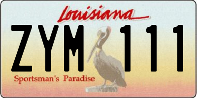 LA license plate ZYM111