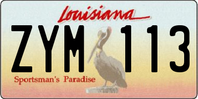 LA license plate ZYM113