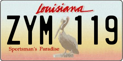 LA license plate ZYM119