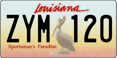 LA license plate ZYM120