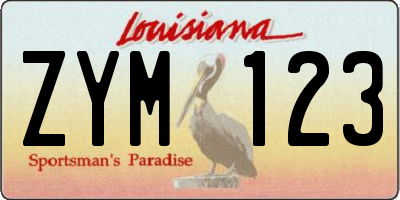 LA license plate ZYM123