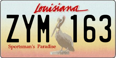 LA license plate ZYM163