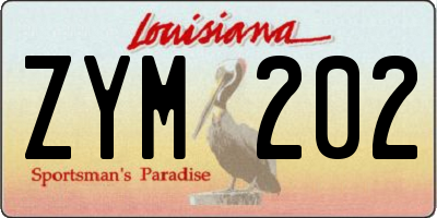 LA license plate ZYM202