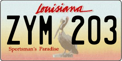 LA license plate ZYM203