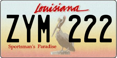 LA license plate ZYM222