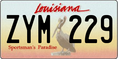 LA license plate ZYM229