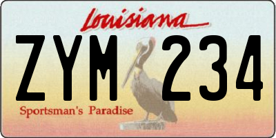 LA license plate ZYM234