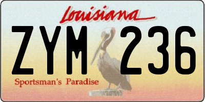 LA license plate ZYM236