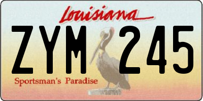 LA license plate ZYM245